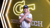 Georgia Tech Baseball GIF by Georgia Tech Yellow Jackets