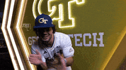 Georgia Tech Baseball GIF by Georgia Tech Yellow Jackets