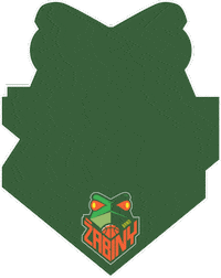 ZabinyBrno sport basketball woman women Sticker