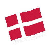Ehfeuro2020 Sticker by EHF
