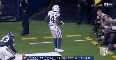 2018 Nfl Football GIF by NFL
