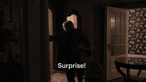 Party Surprise GIF by HULU
