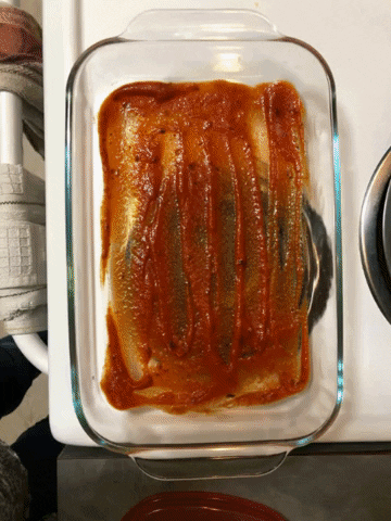 alyssarholman giphygifmaker lasagna GIF