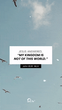 World Love GIF by arc.tv