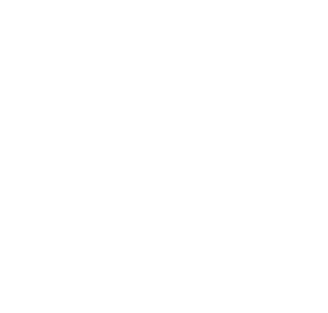 avintagethought giphyupload bird fighting simple Sticker