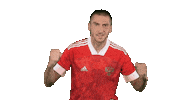 Football Celebrating Sticker by Team Russia