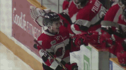 hockey ohl GIF by Ottawa 67's