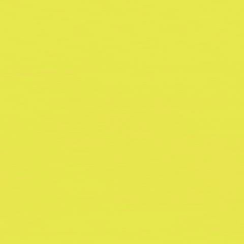 Pug Dog GIF