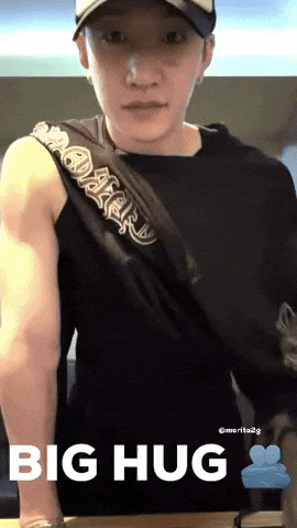 Stray Kids Hug GIF