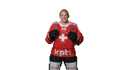 Celebrate Womens National Team Sticker by Swiss Ice Hockey