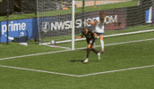 Goalcelebration GIF by National Women's Soccer League