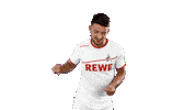 soccer bundesliga Sticker by 1. FC Köln