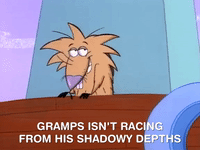 nickrewind nicksplat angry beavers GIF