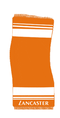 Summer Time Sticker by lancasterbeauty