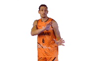 Basketballnederland basketball nederland oranje basketbal Sticker