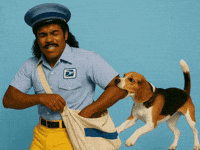 Post Office Dog GIF by Jukebox Saints