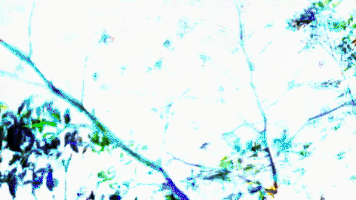 Digital Art GIF
