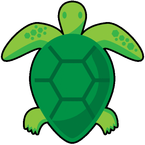 Sea Turtle Florida Sticker by Visit Lauderdale