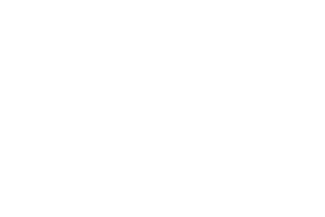 Galloping Horse Racing Sticker by Ascot Racecourse