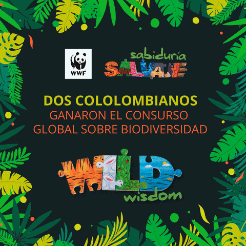WWFColombia giphyupload GIF