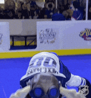 Ice Hockey GIF by NHL