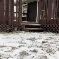 Slow Motion Wow GIF by JustViral.Net
