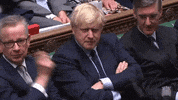 wait what what did you say brexit boris johnson GIF