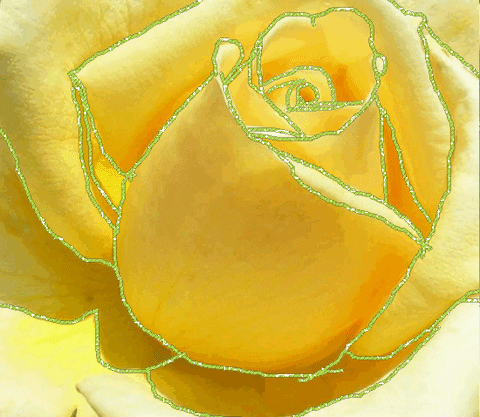 yellow GIF