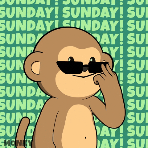 Good Morning Fun GIF by Wise Monkey Meme