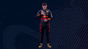 Ver Red Bull GIF by Oracle Red Bull Racing