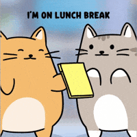 Ignoring White Cat GIF by MESA My Emotional Support Animal