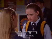 season 2 netflix GIF by Gilmore Girls 