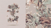 cells microbiology GIF by Digg