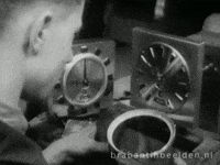 Summer Time GIF by BrabantinBeelden