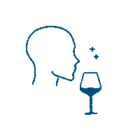 adrienboutin drink wine ccvh tasting wine vin hérault Sticker