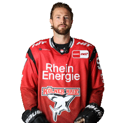 Hockey Clap Sticker by Koelner Haie