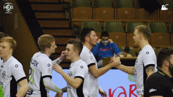 Czech Republic Handball GIF by HCB Karviná