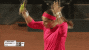 wta sports sport lets go tennis GIF