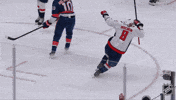 National Hockey League Goal GIF by NHL