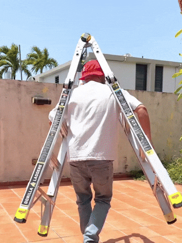 Sexy Fashion GIF by Julio Janpierre