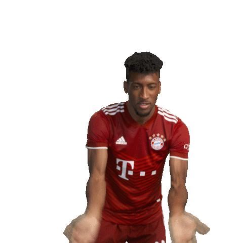 Lets Go Motivation Sticker by FC Bayern Munich