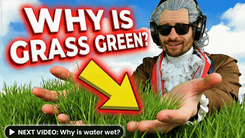 Pointing Out The Obvious Green Grass GIF