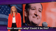 ted cruz news GIF