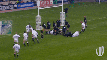 rugby world cup kick GIF by World Rugby