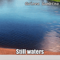 Peace Sky GIF by Guinea Gambino