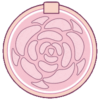 FLOWERBeauty beauty flower makeup blush Sticker