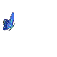 loop butterfly Sticker by UrbanTreeMusic