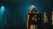 Football Nfl GIF by New England Patriots