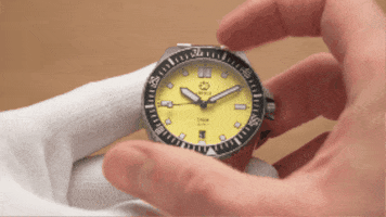 Time Dive GIF by Bens Watch Club
