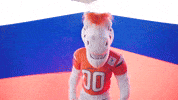 Football Nfl GIF by Broncos